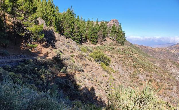 Turcón pregunta si la tubería de agua para el sur de Tejeda es la denunciada