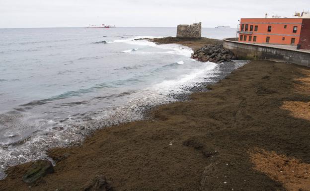 Este fin de semana, un paseo por San Cristóbal