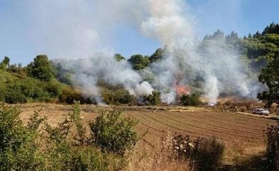 Declaran la Alerta por Riesgo de Incendios Forestales en Gran Canaria