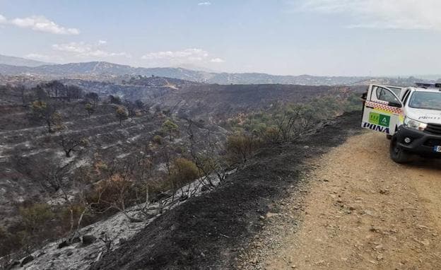 Muere un bombero en el incendio de Sierra Bermeja en Málaga