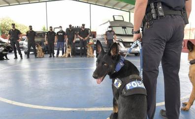 El adiestramiento de perros policiales, a escena