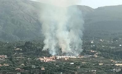 El incendio forestal de La Orotava ha afectado a 7,2 hectáreas