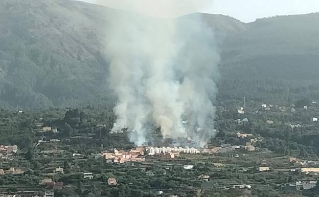 El incendio forestal de La Orotava ha afectado a 7,2 hectáreas