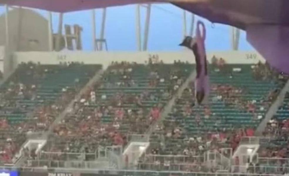 Salvan a un gato de una caída de 20 metros en un estadio con la ayuda de una bandera