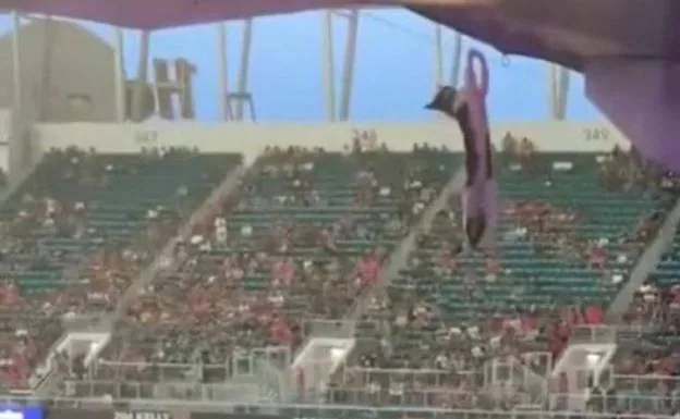 Salvan a un gato de una caída de 20 metros en un estadio con la ayuda de una bandera