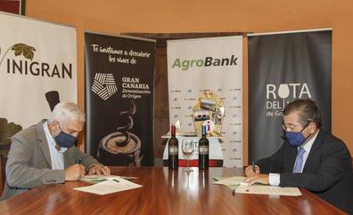 CaixaBank y la D.O. Gran Canaria suscriben un acuerdo de colaboración para impulsar la actividad vitivinícola en la isla