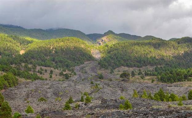 Crece la intensidad de los temblores, el terreno se deforma 15 centímetros