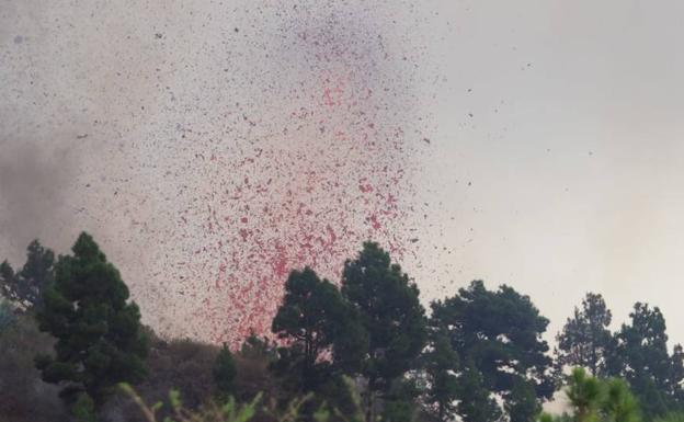 Educación suspende las clases en El Paso, Los Llanos y Tazacorte