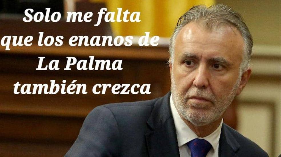 Siguiente galería