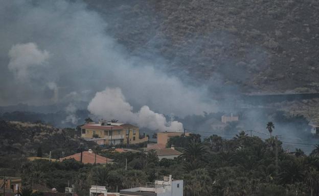 Planas anuncia medidas para agricultura, pesca y ganadería por el volcán