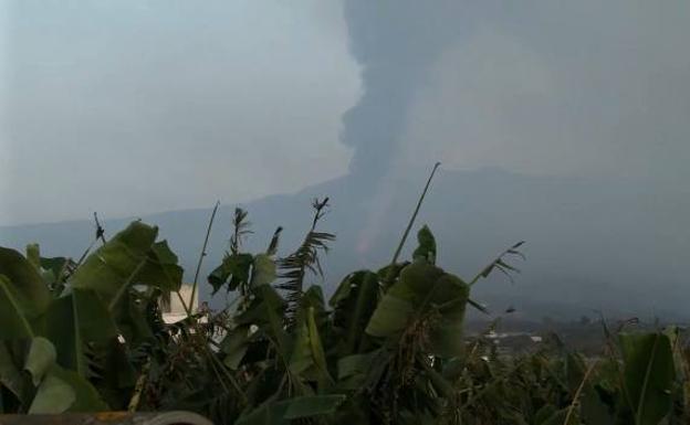 El volcán sigue acechando las plantaciones de plátanos