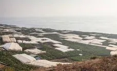 Las desaladoras portátiles que garantizarán un caudal de 6.000 m3 diarios llegan a La Palma este martes