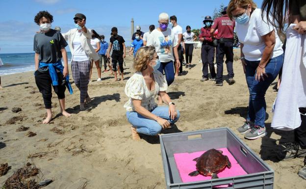 Moreno insta a la alcaldesa Narváez a que lo cese, pero la otra edil de CC se queda