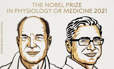 Por qué el último Nobel de Medicina y Fisiología tiene más interés del que parece
