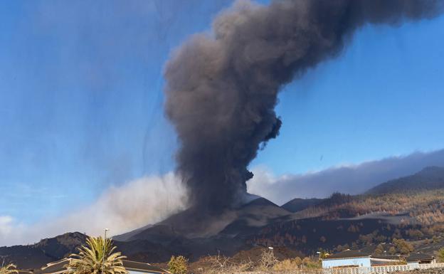 Preocupación por la afección del volcán sobre los viñedos con DO