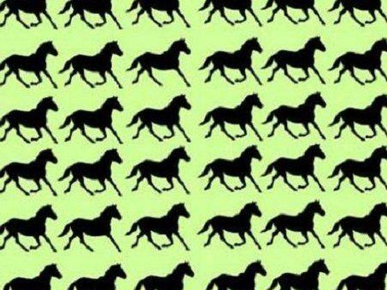El reto de agudeza visual viral: ¿Cuántos caballos diferentes ves?