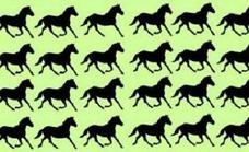 El reto de agudeza visual viral: ¿Cuántos caballos diferentes ves?