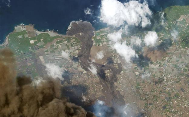 Los agricultores y ganaderos de La Palma se beneficiarán de un segundo bloque de medidas de ayuda de Cajasiete