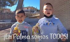 El emotivo vídeo viral de un cole en Guadalajara con La Palma