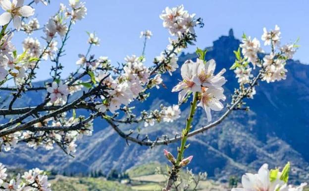 Las Fiestas del Almendro en Flor de Tejeda, Interés Turístico Nacional