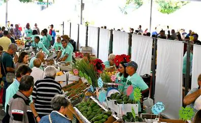 Mogán recupera la Feria del Aguacate, que se celebrará el 5 de diciembre en Arguineguín