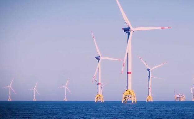 Salud Pública advierte del impacto del parque eólico marino de Iberdrola