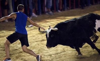 Fallece un hombre corneado por un toro en Castellón