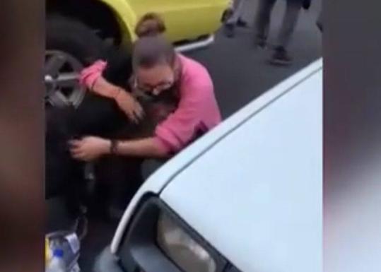 Emotivo reencuentro de una familia de La Palma con sus perros perdidos