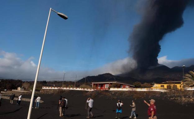 Ciénaga de mentiras