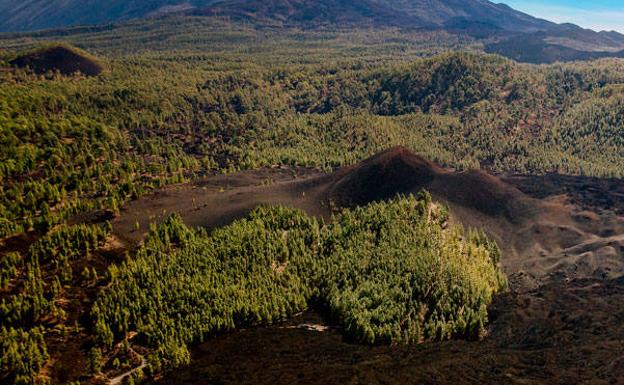 La erupción del Chinyero, que duró 10 días, cumple 112 años
