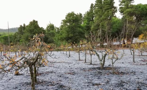 La cumbre grancanaria amanece helada