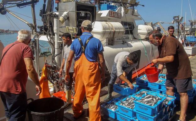 Pescadores españoles se verán beneficiados por esta decisión comunitaria, que prorroga sus derechos hasta la sentencia definitiva.