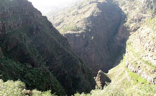 Un parapentista herido tras sufrir una caída en Adeje