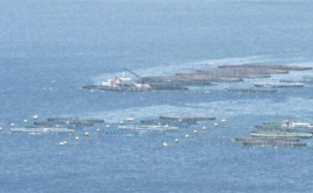 Ecologistas en Acción, en contra de las jaulas marinas entre Arrecife y Tías