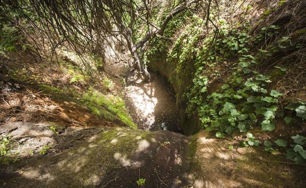 Agua no tan transparente