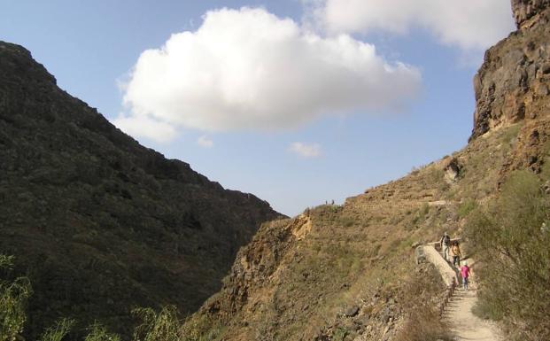 Rescatada tras sufrir una caída en el Barranco del Infierno en Adeje