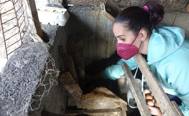 La huerta de mamá Antonia y abuelo Perico