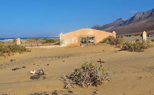 El Festival Ecoexperiencias compensa su huella de carbono con la plantación de 150 tabaibas en Cofete