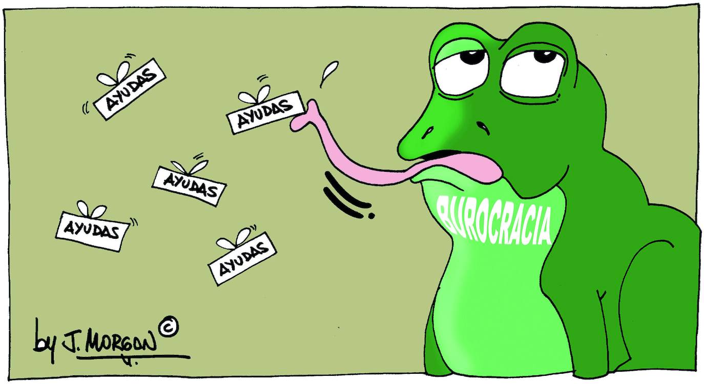 El humor de Morgan de este viernes 10 de diciembre