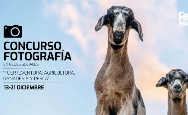 Feaga busca las mejores fotos de cabras, agricultura y pesca