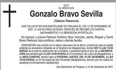 Gonzalo Bravo Sevilla