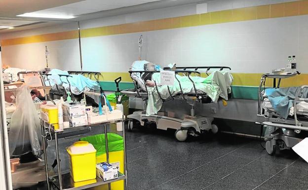 Masivo apoyo a la carta que saca los colores a Sanidad