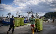 España presiona para aminorar el recorte en la captura de merluza