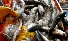 España asume el 8% de recorte en las capturas de merluza para 2022