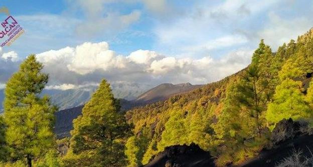 Directo: Pevolca explica los últimos datos sobre el volcán de La Palma