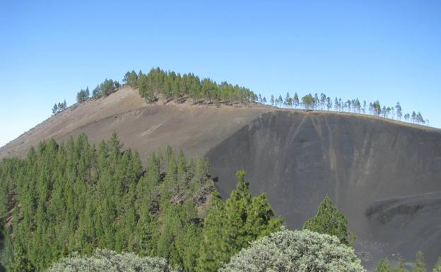 El anteproyecto de Ley de Biodiversidad y Recursos Naturales de Canarias, a exposición pública
