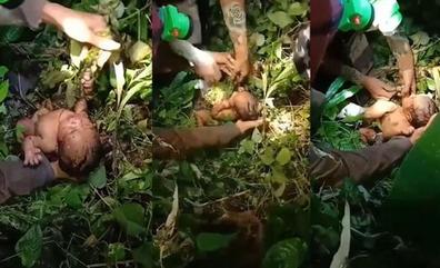 Salvan a una recién nacida abandonada en una selva de Tailandia
