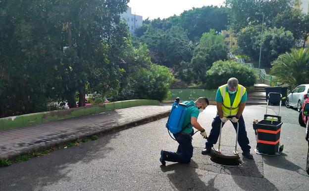 Salud Pública finaliza un tratamiento integral de control de plagas en Las Rehoyas y El Sebadal