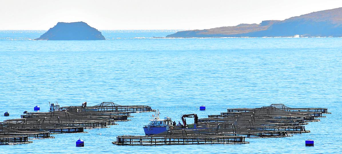 Vecinos de la playa alegan nulidad en la concesión acuícola frente a Salinetas