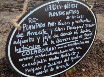 Colectivo Natura recupera el jardín canario de Maneje eliminado «por error» en 2020